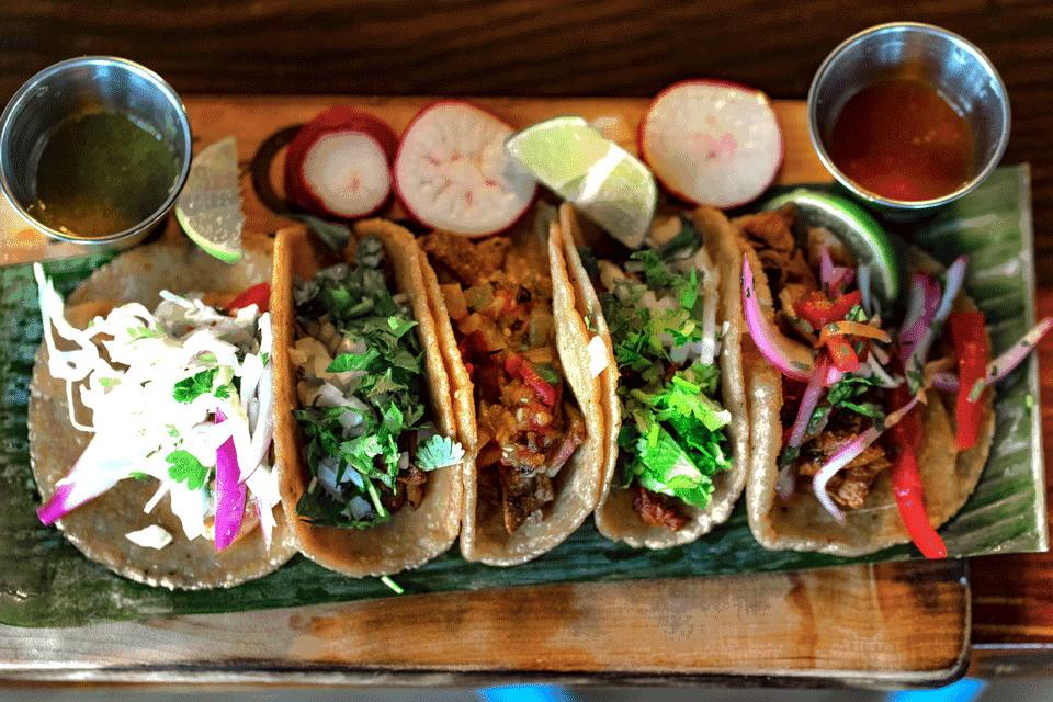 5 Tacos, 5 Tacos and Beers.gif